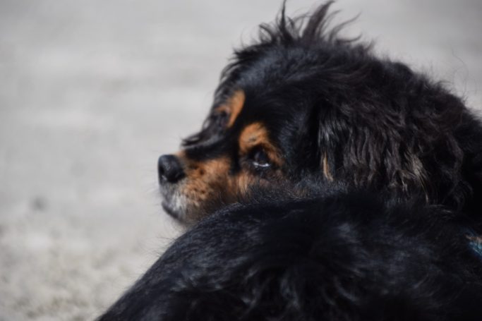 Ben